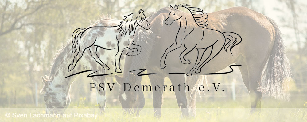 Logo des PSV Demerath mit grasenden Pferden im Hintergrund